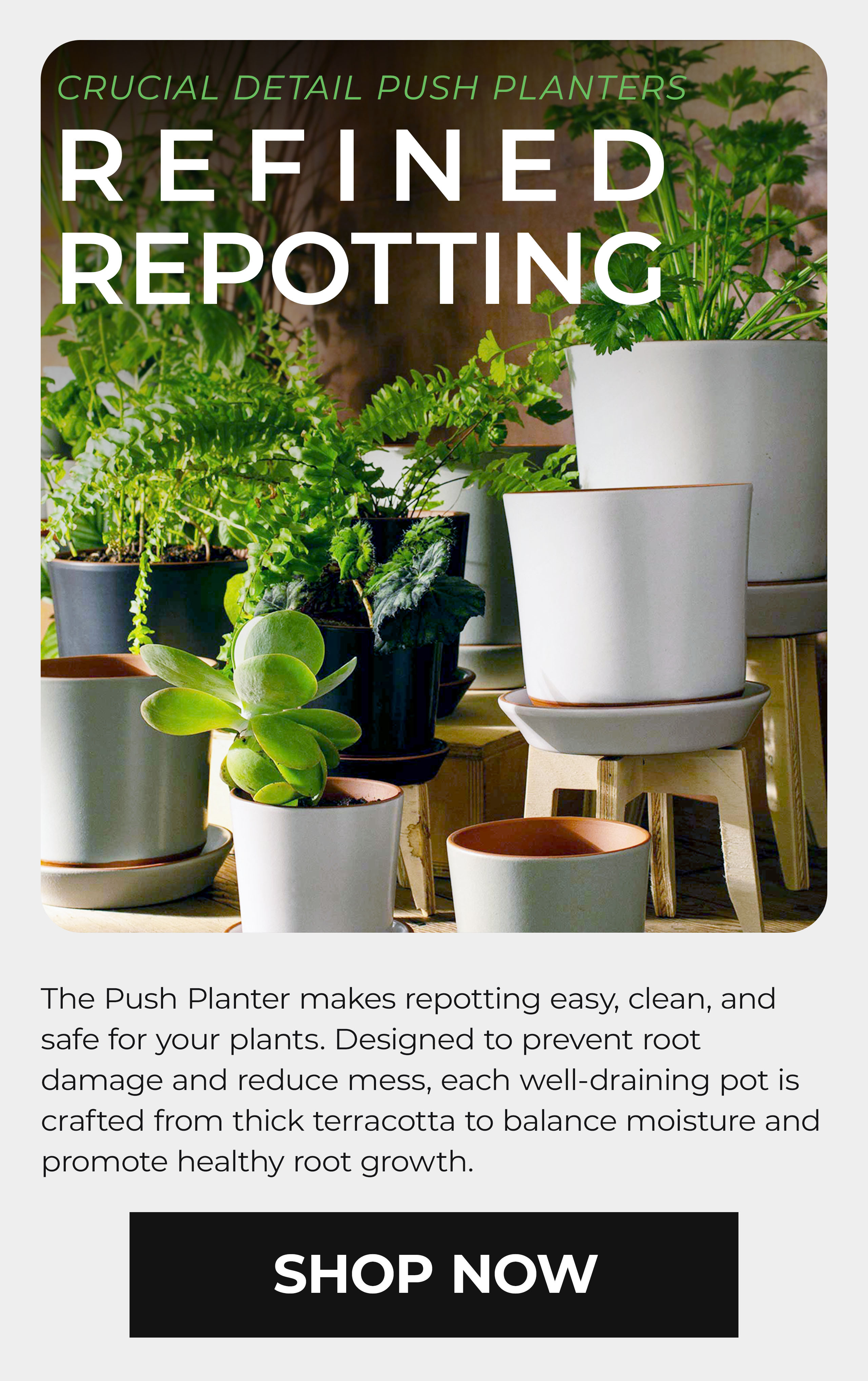 Crucial Detail Push Planters