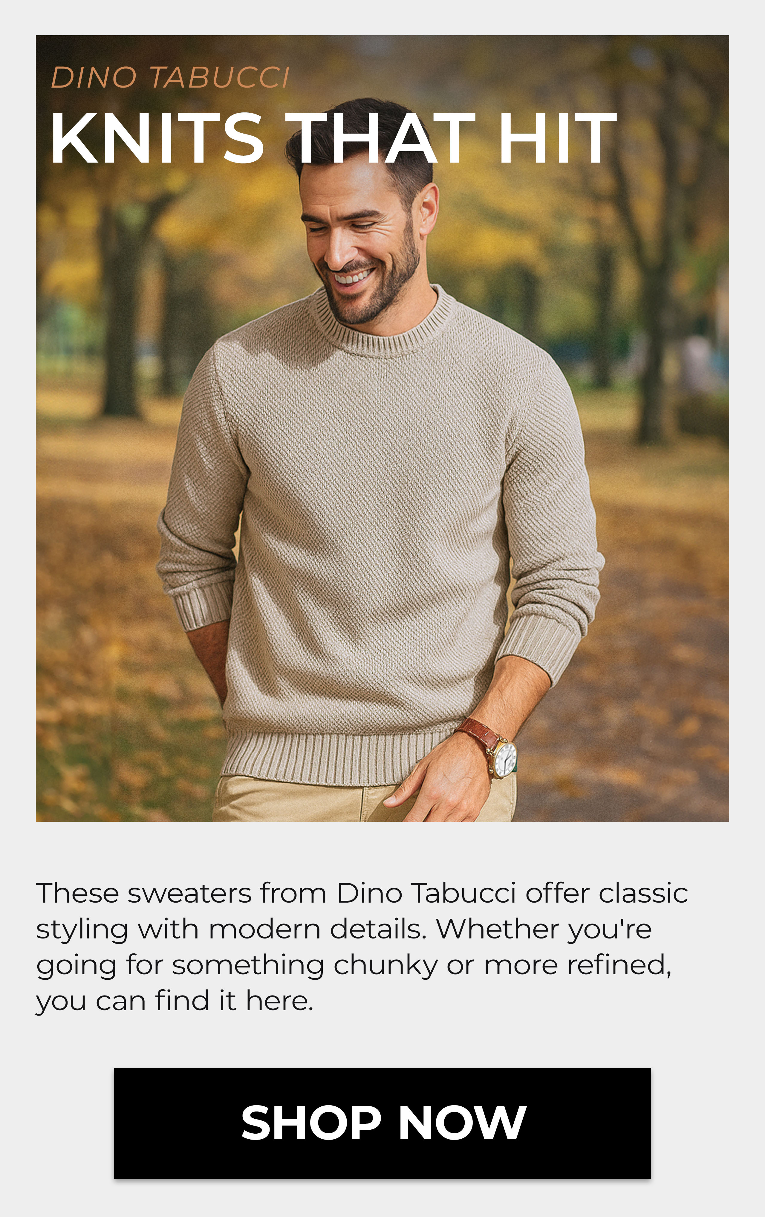 Dino Tabucci Sweaters