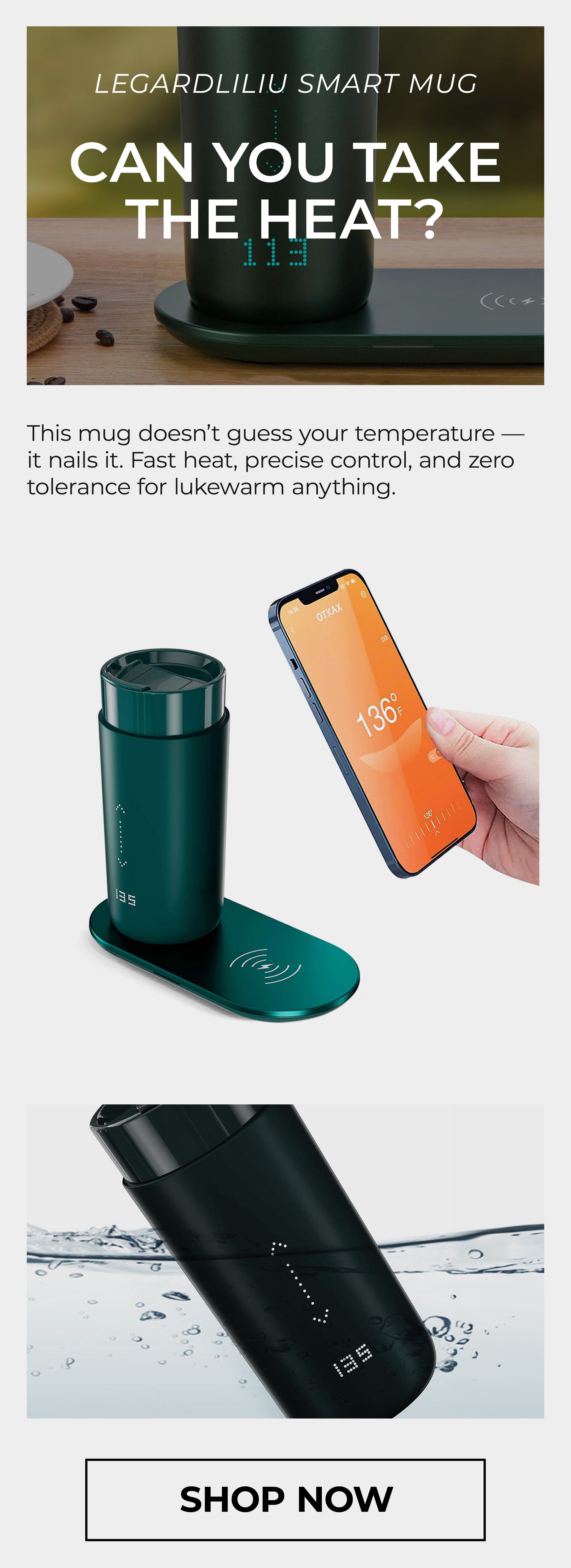 Smart Self-heating Mug
