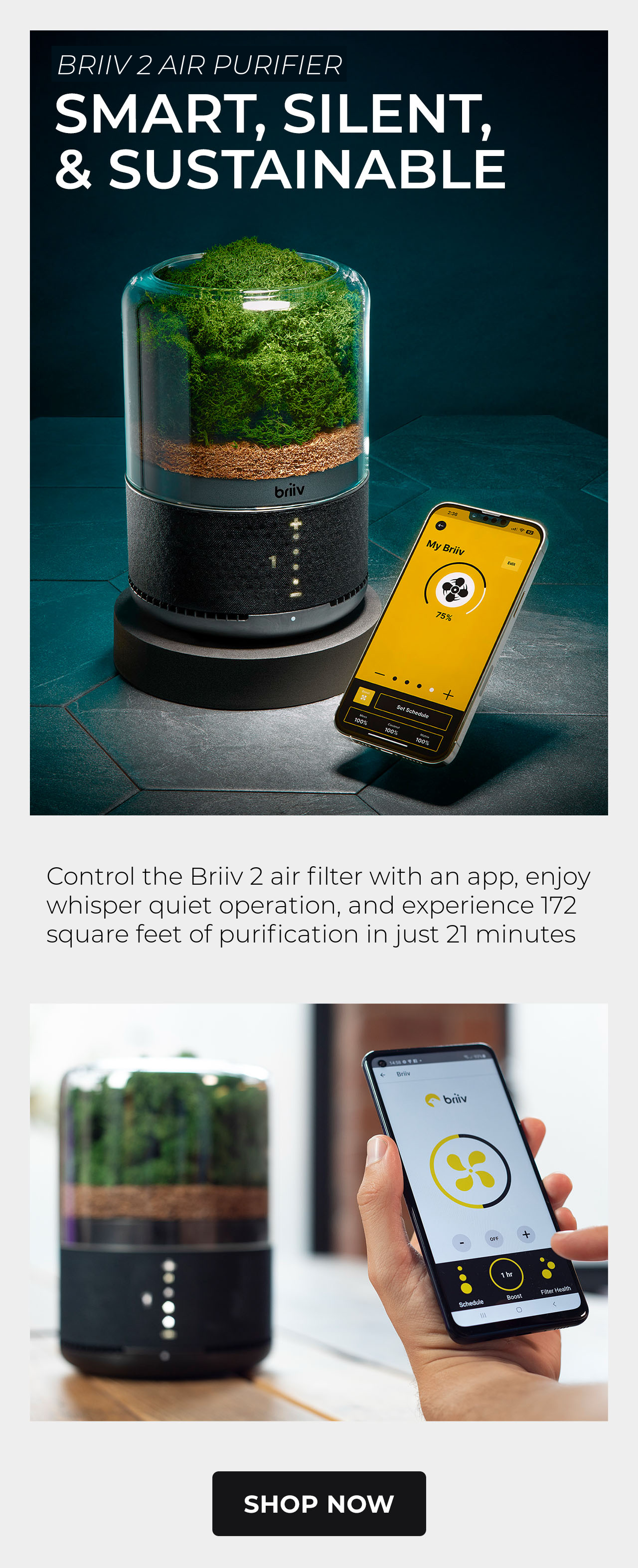Briiv 2 Air Purifier
