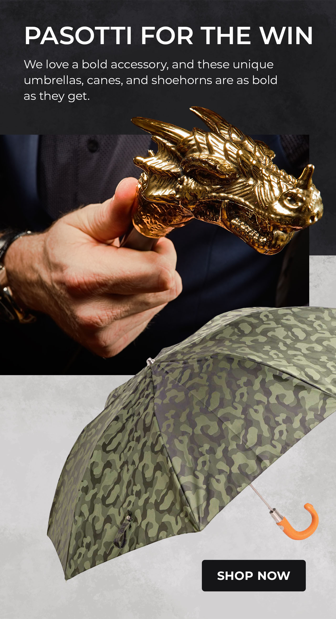 Pasotti Umbrellas, Canes & Shoe Horns