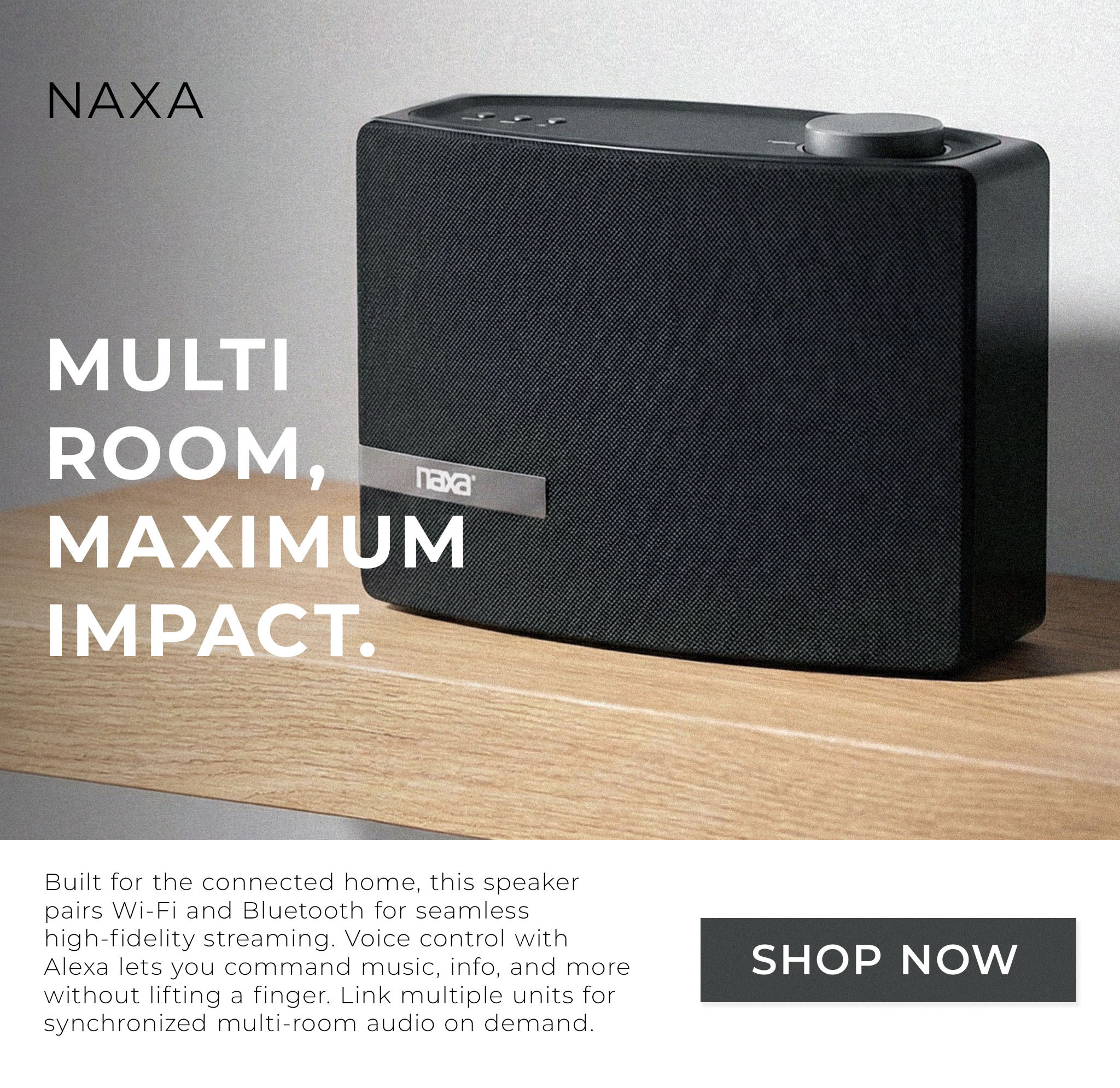 Naxa Speaker