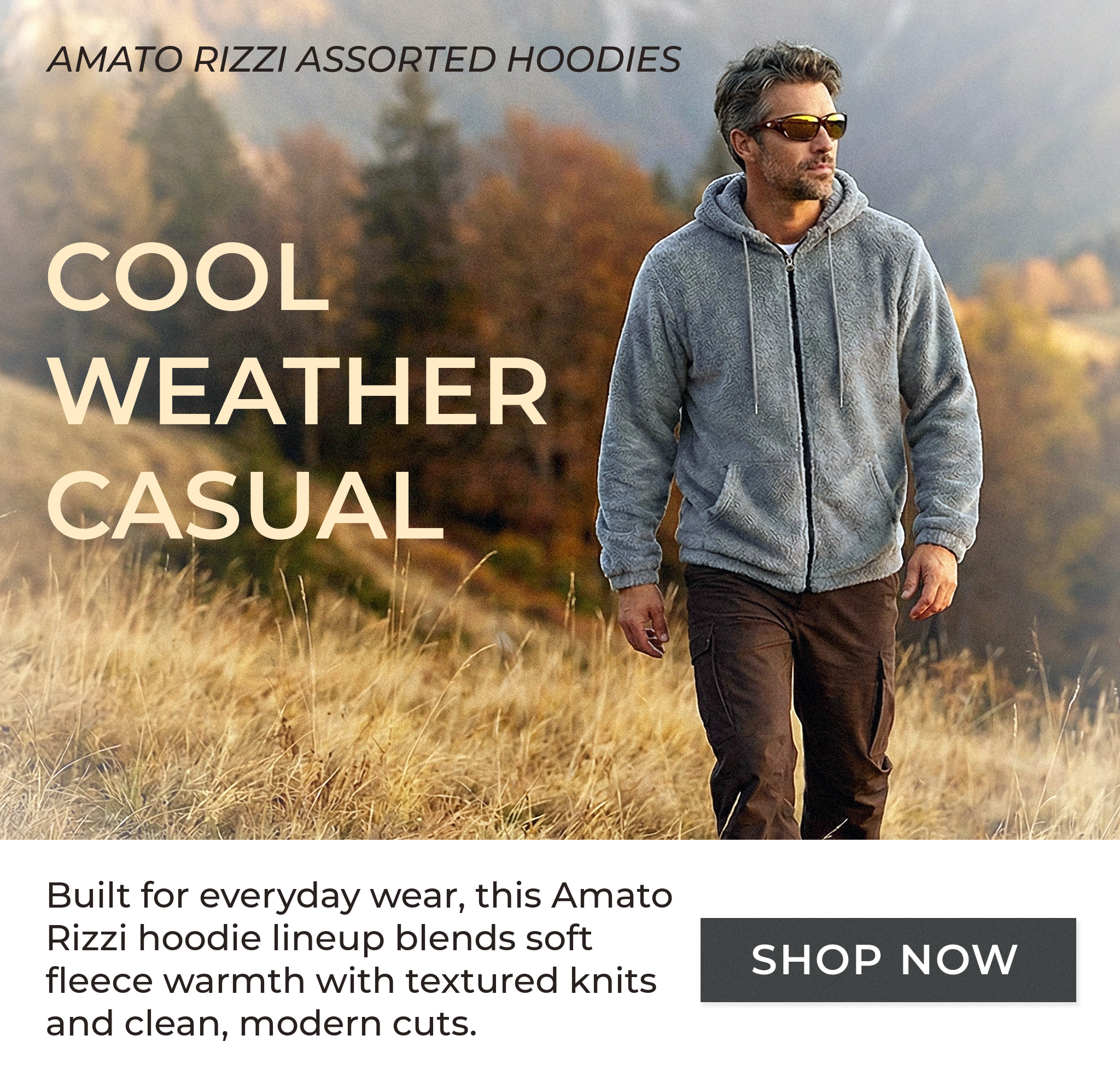 Amato Rizzi Hoodies