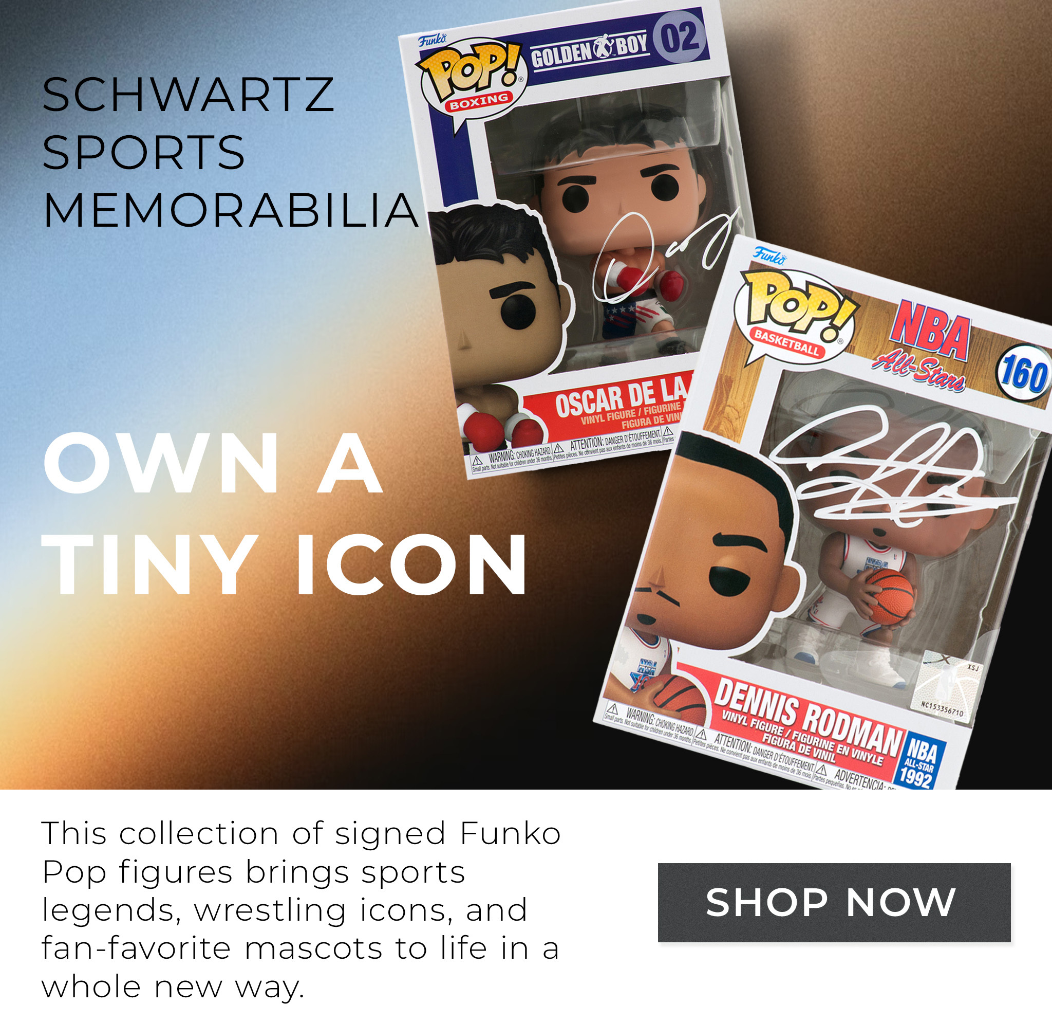 Funko Pop Icons