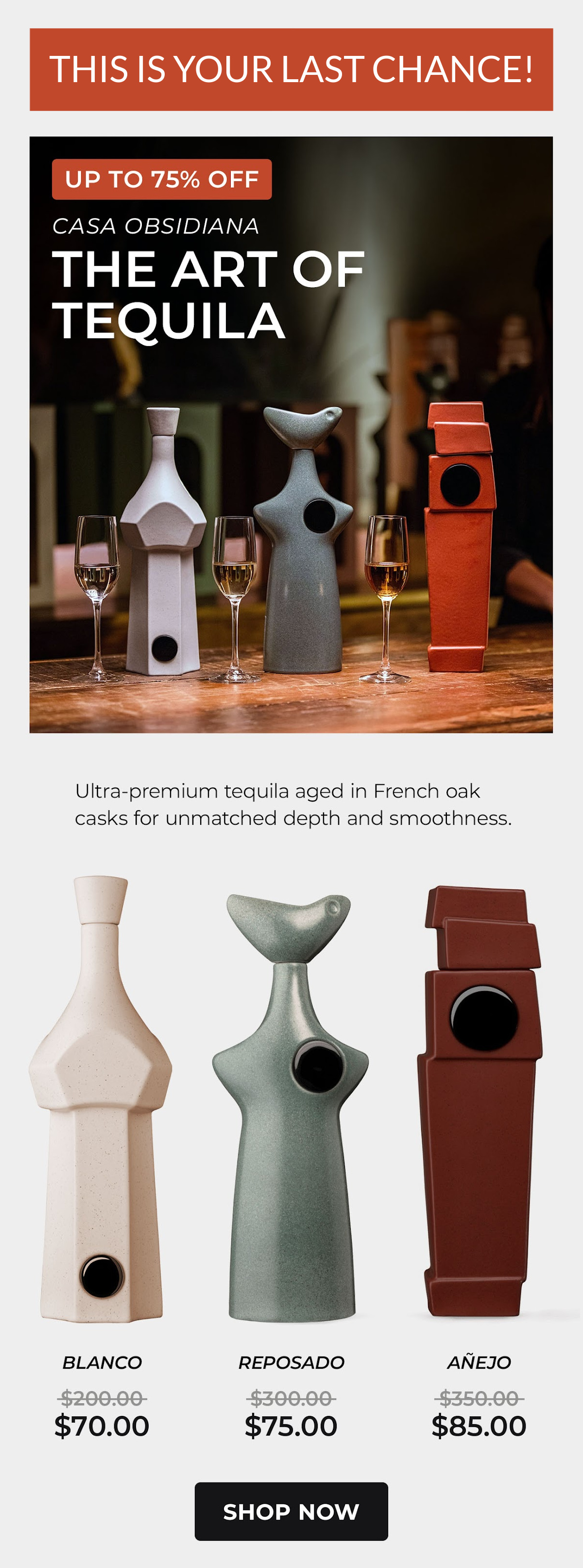 Casa Obsidiana Tequila