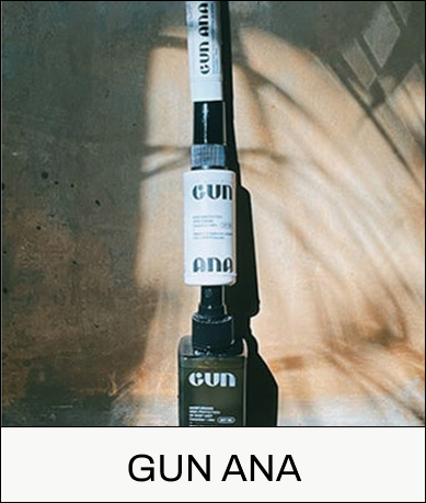 GUN ANA