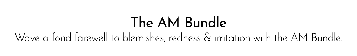 THE AM BUNDLE