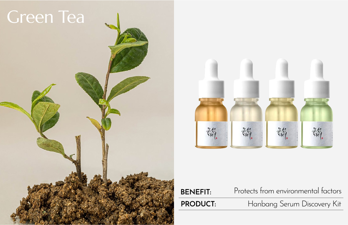 BEAUTY OF JOSEON HANBANG SERUM DISCOVERY KIT