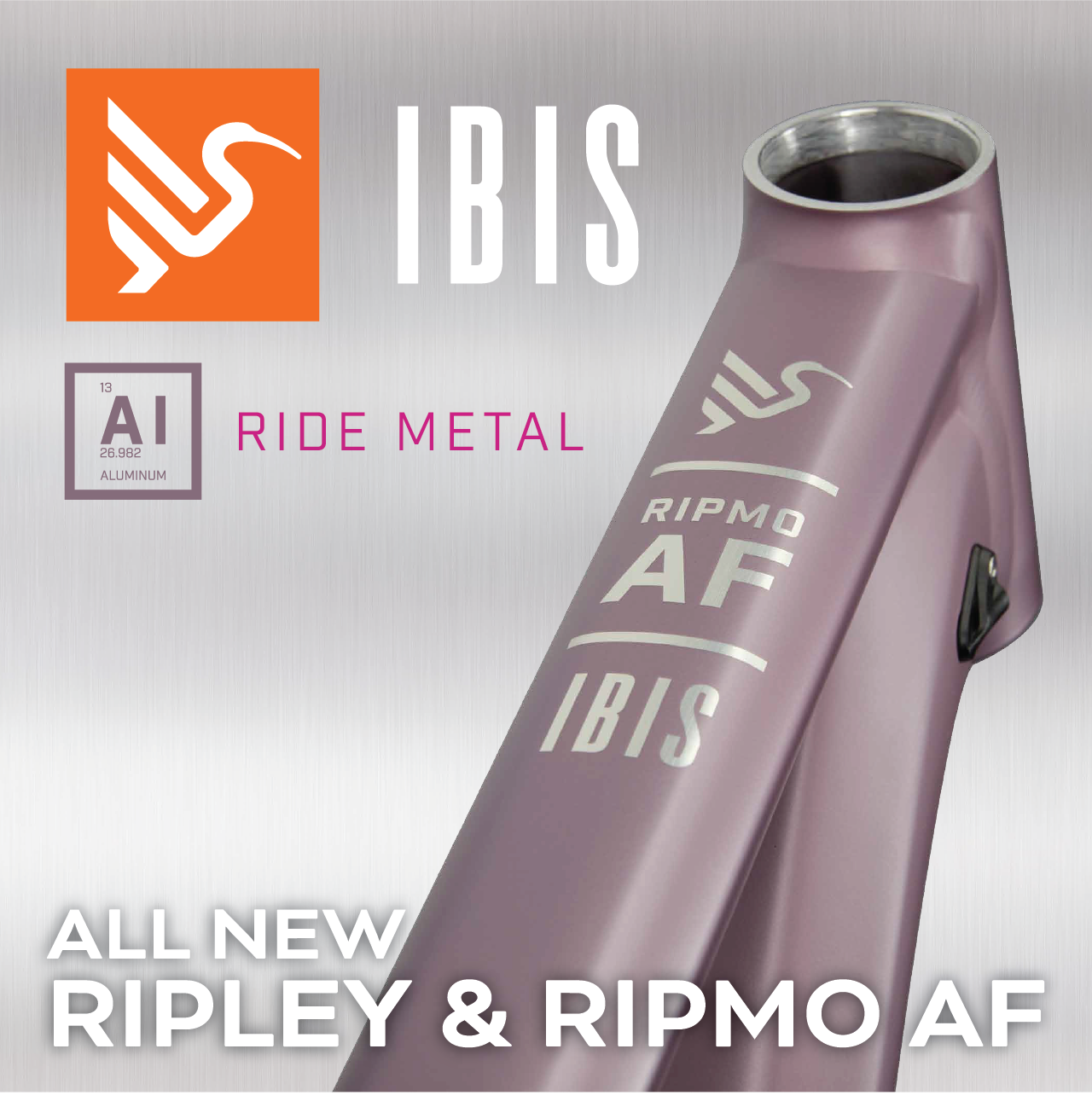 New Ibis Models