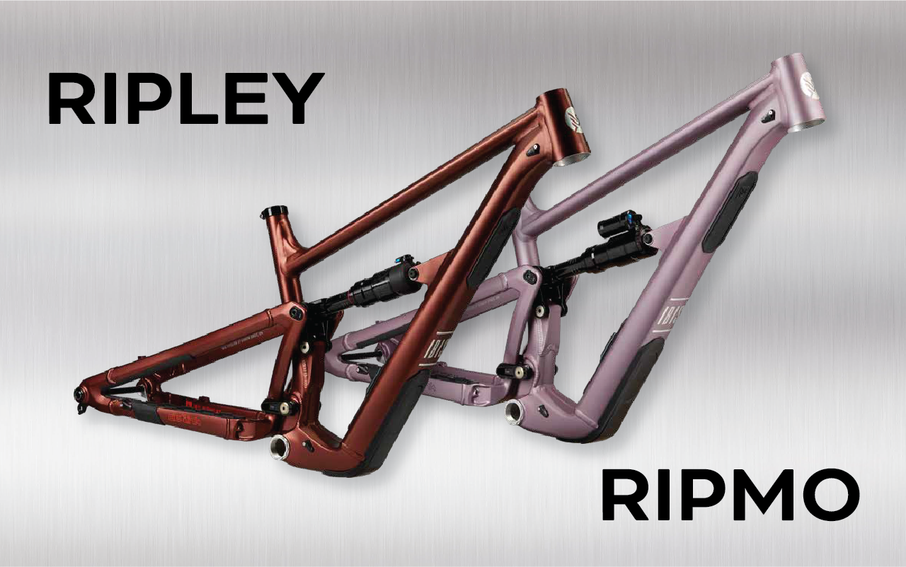 New Ibis Models