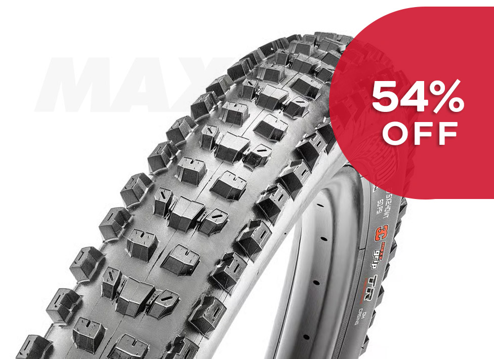 Maxxis Dissector 29" Trail OEM Tire