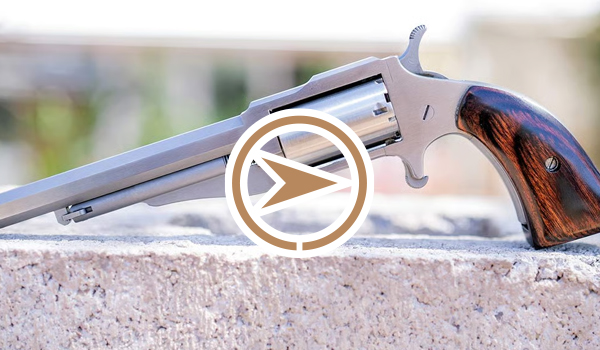 THE EARL: REVIEW OF NAA’S DISTINGUISHED BACKUP BOOT GUN