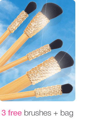 3 free brushes + bag
