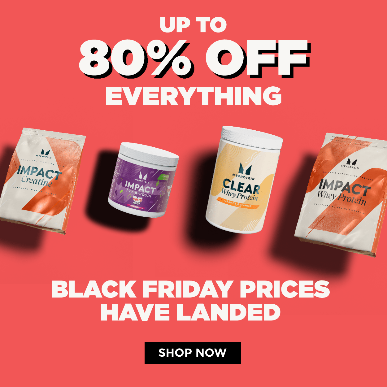 Up to 80% off everything Black Friday sale