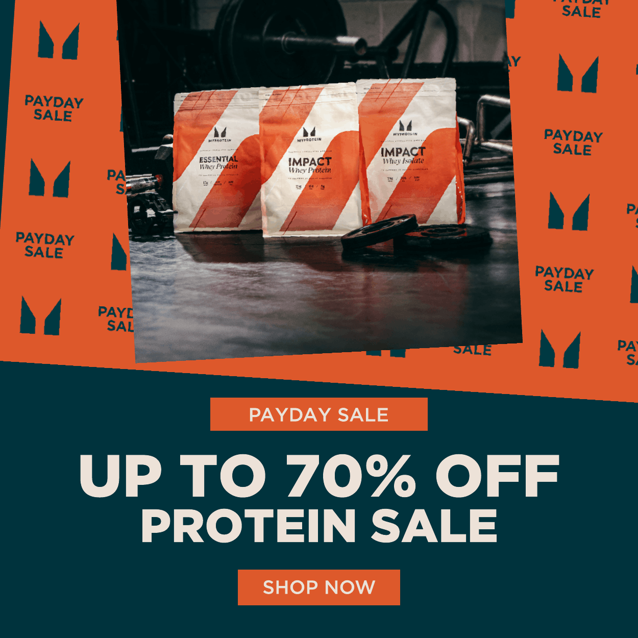 UP TO 70% OFF PROTEIN SALE