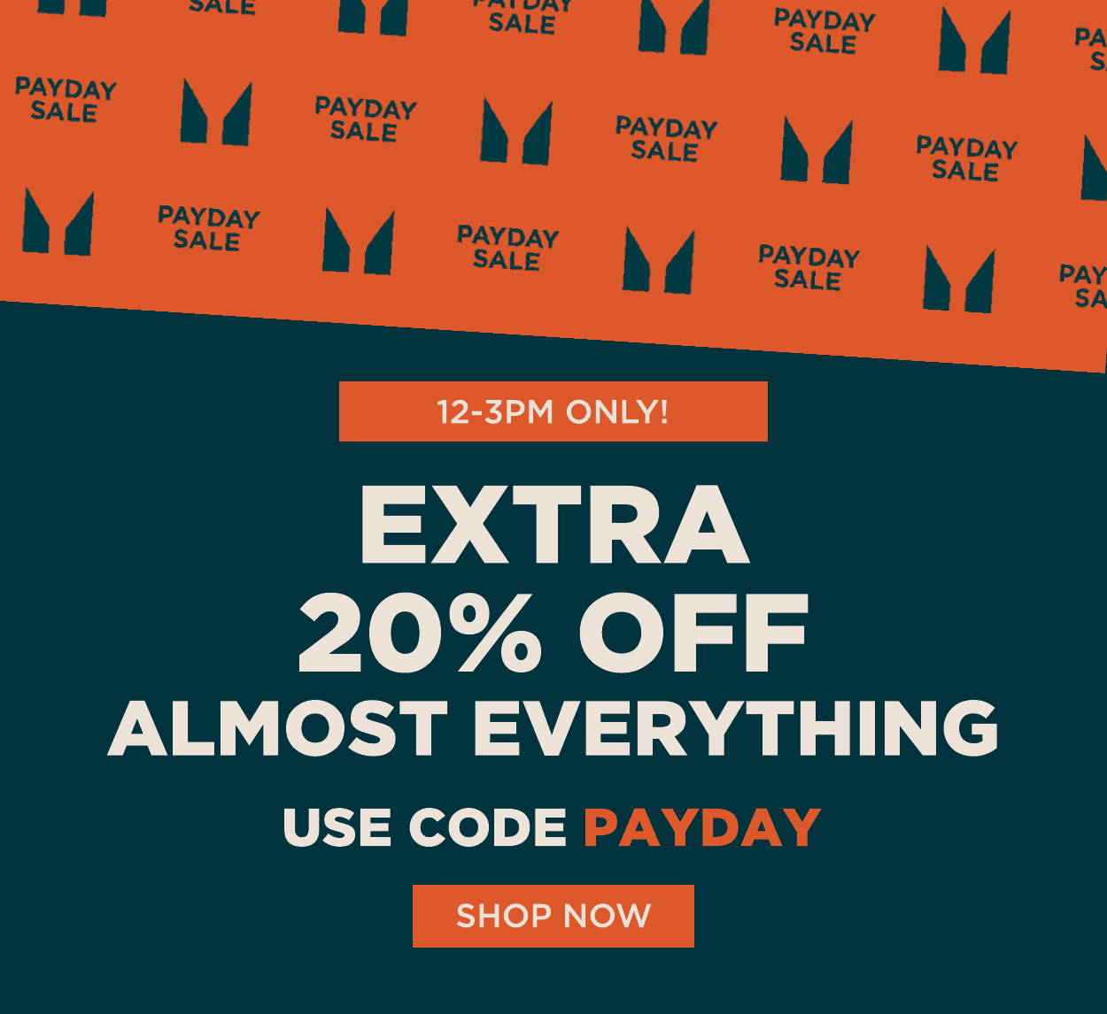 EXTRA 20% OFF ALMOST EVERYTHING. USE CODE: PAYDAY