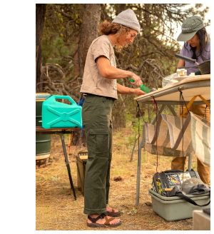Shop the Scout Cargo Pants