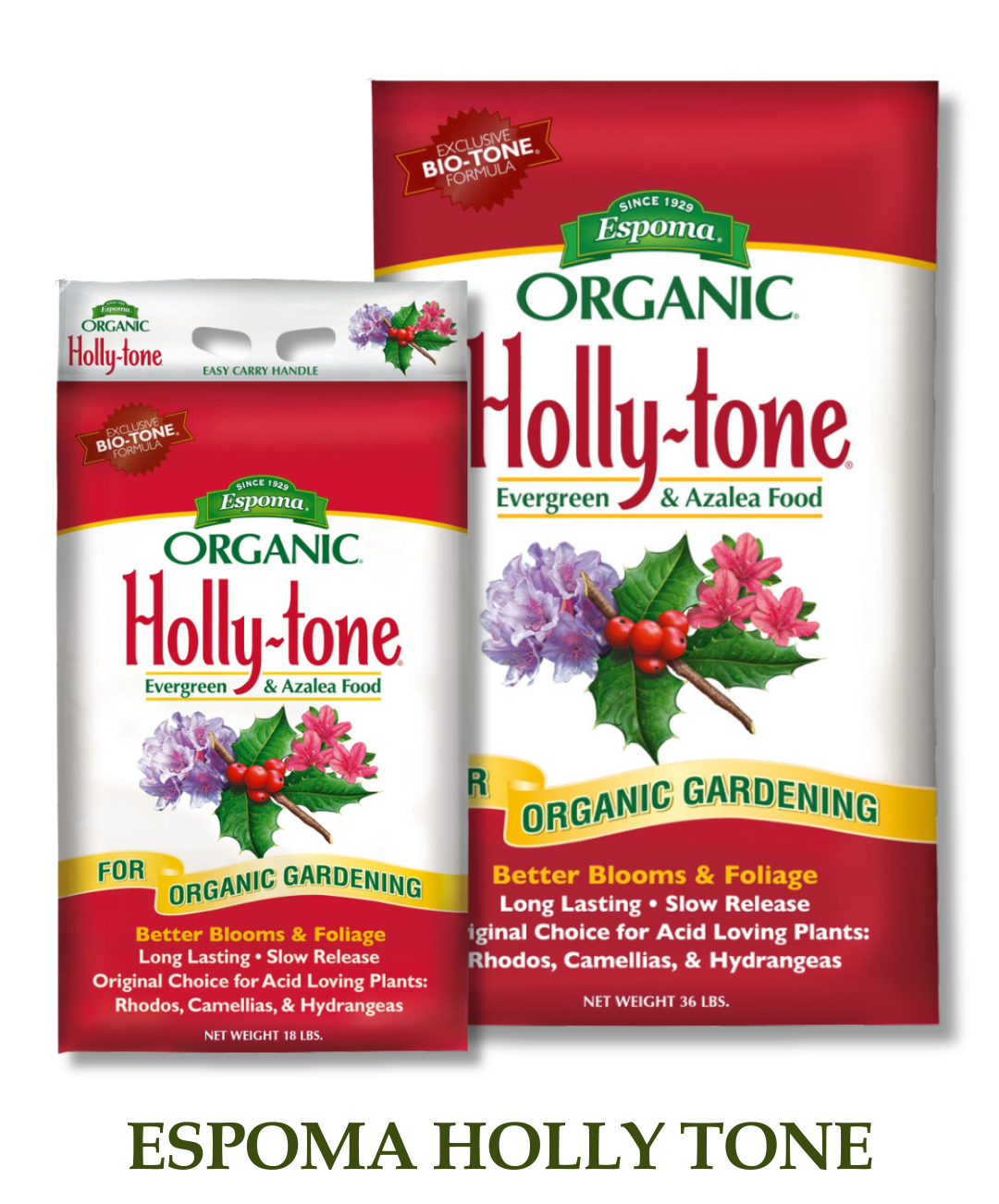 Espoma Organic Hollytone