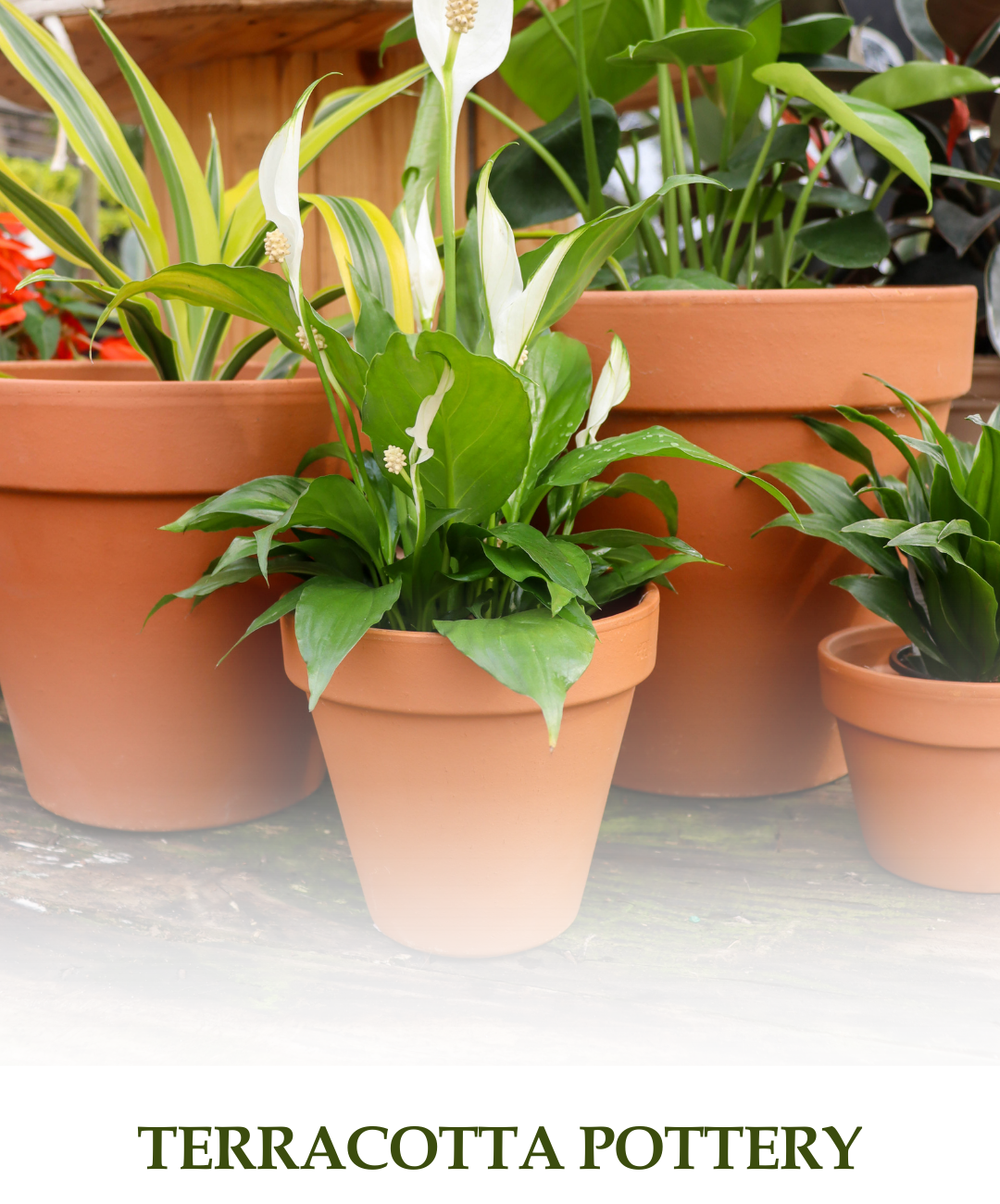 Crescent Garden Brunello Pots