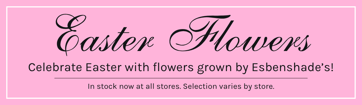 Easter Flowers Header