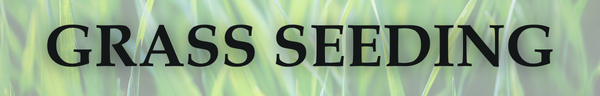 Grass Seeding