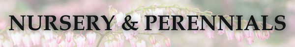 Nursery & Perennials Header