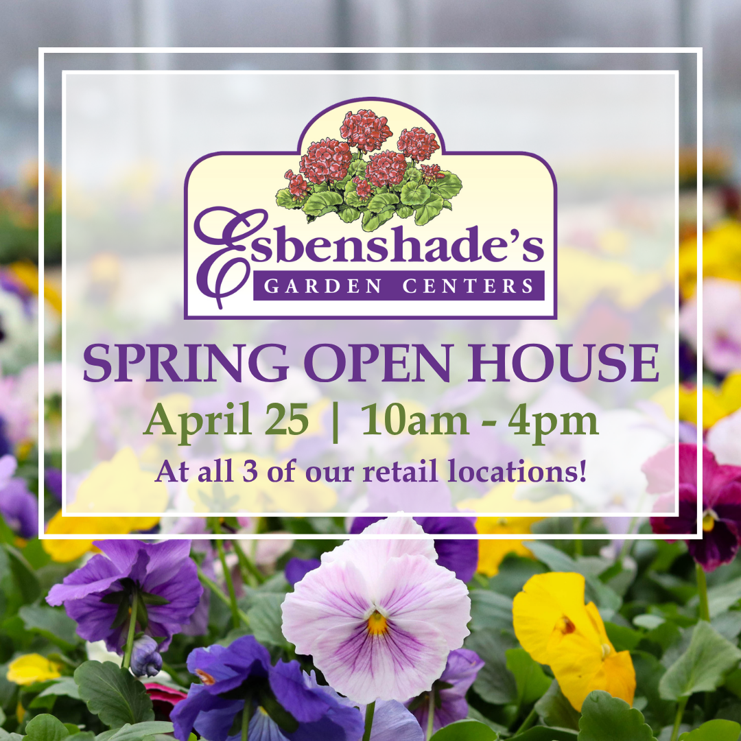 Spring Open House