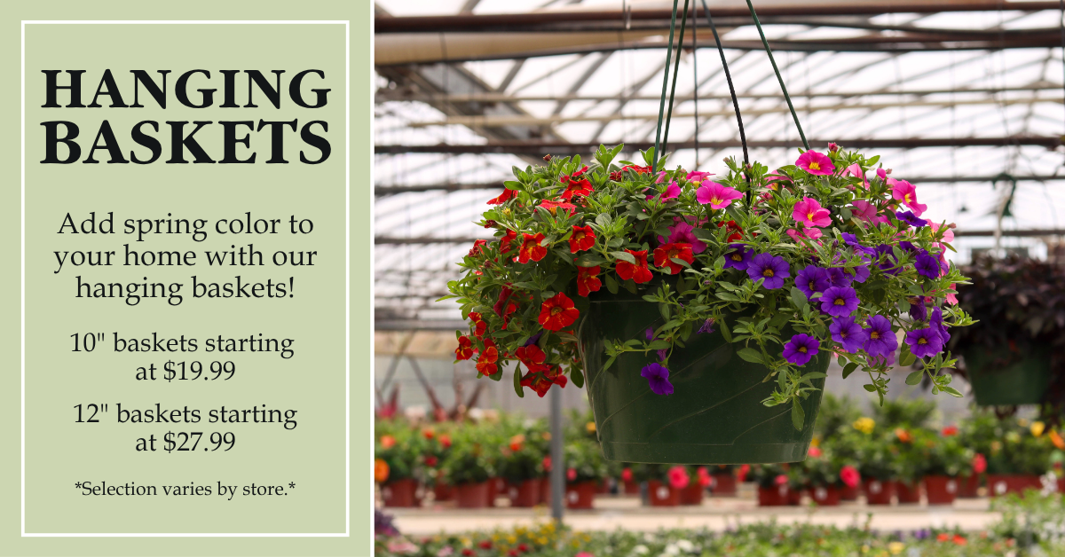 Hanging Baskets