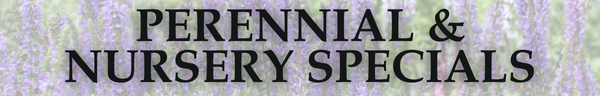 Perennial & Nursery Specials