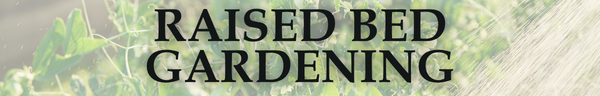 Raised Bed Gardening