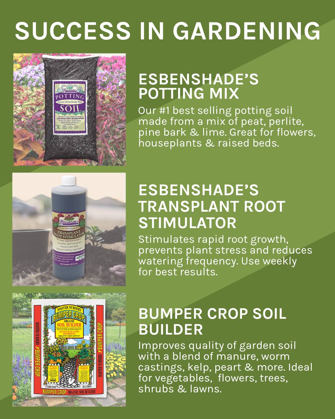 Success In Gardening