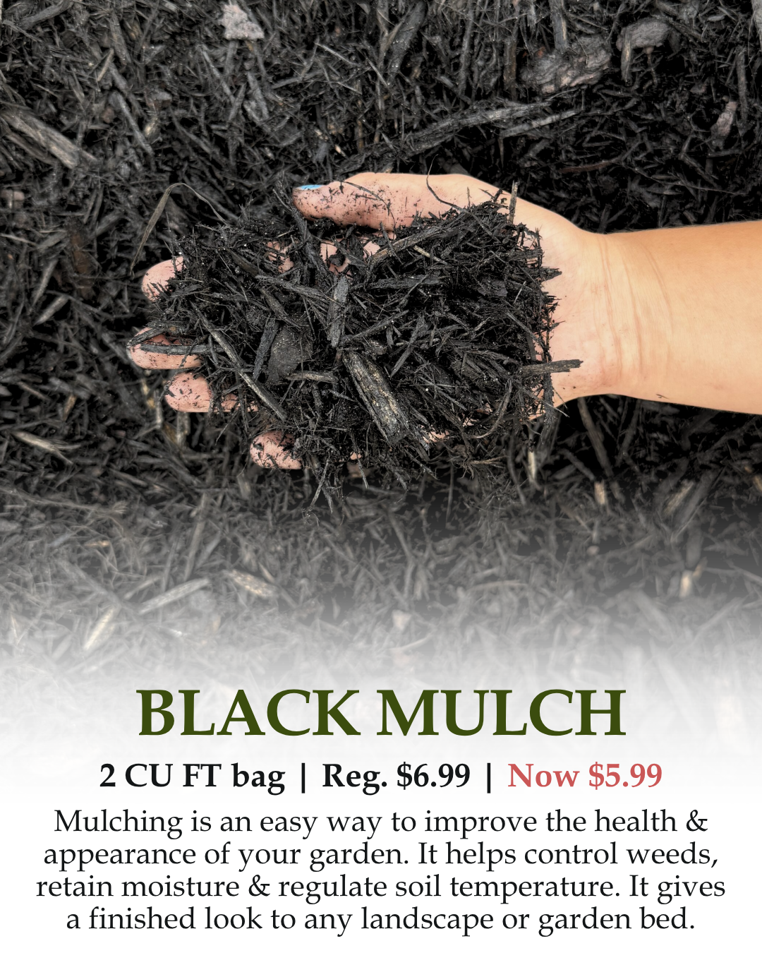 Black Mulch