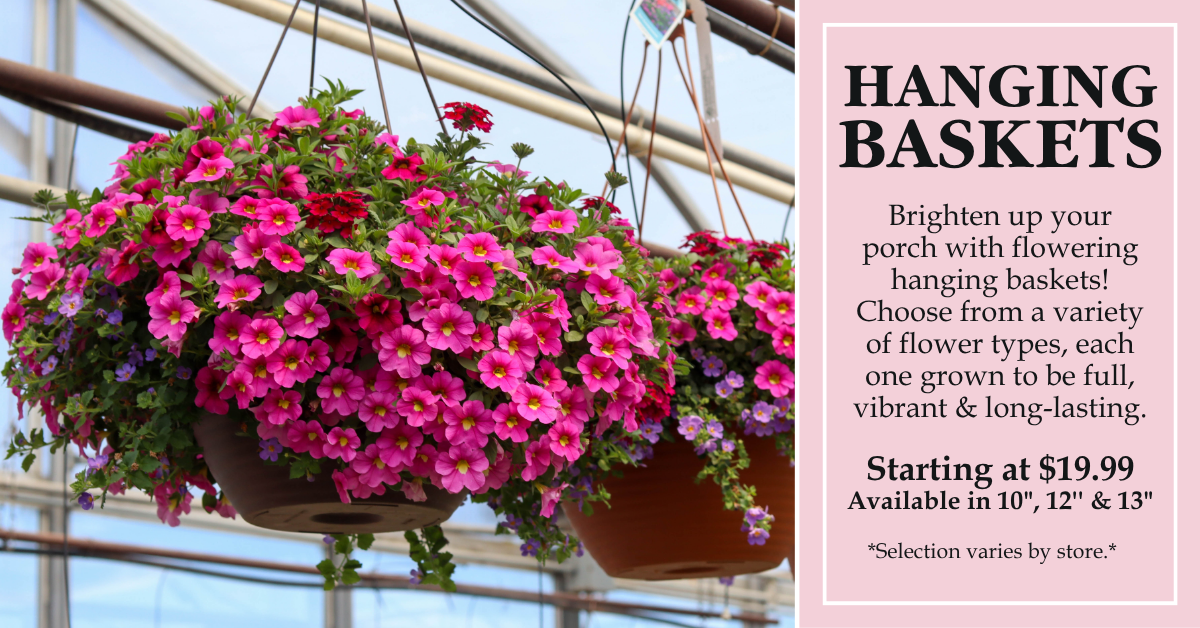 Hanging Baskets