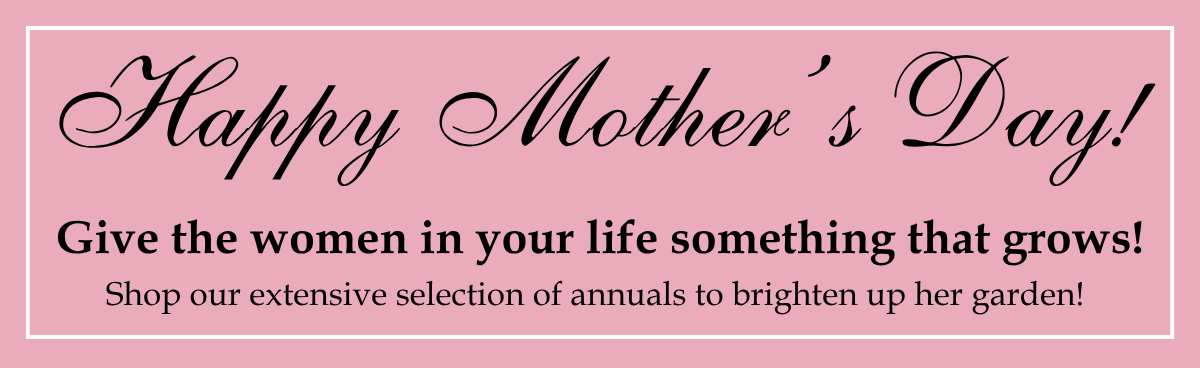 Mother's Day Greenhouse Gifts Header
