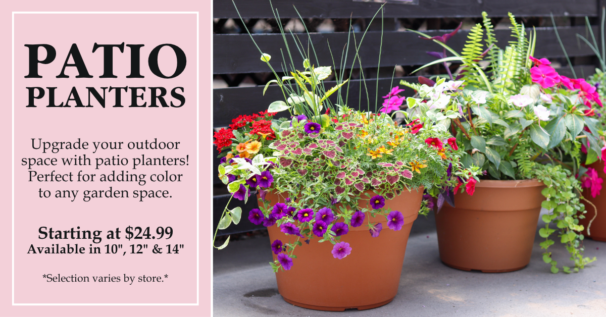 Patio Planters