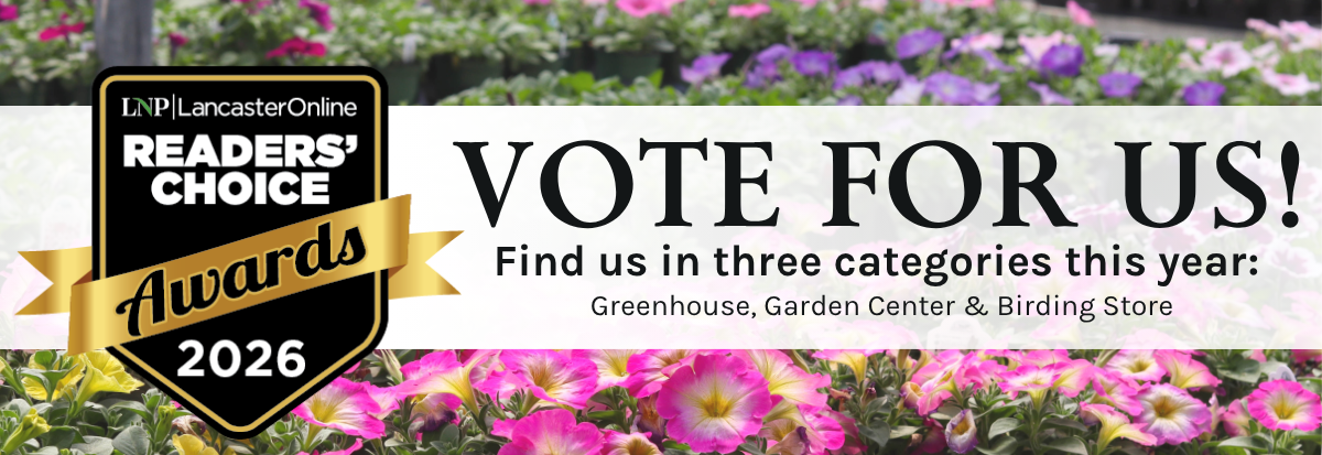 Readers' Choice Awards Voting