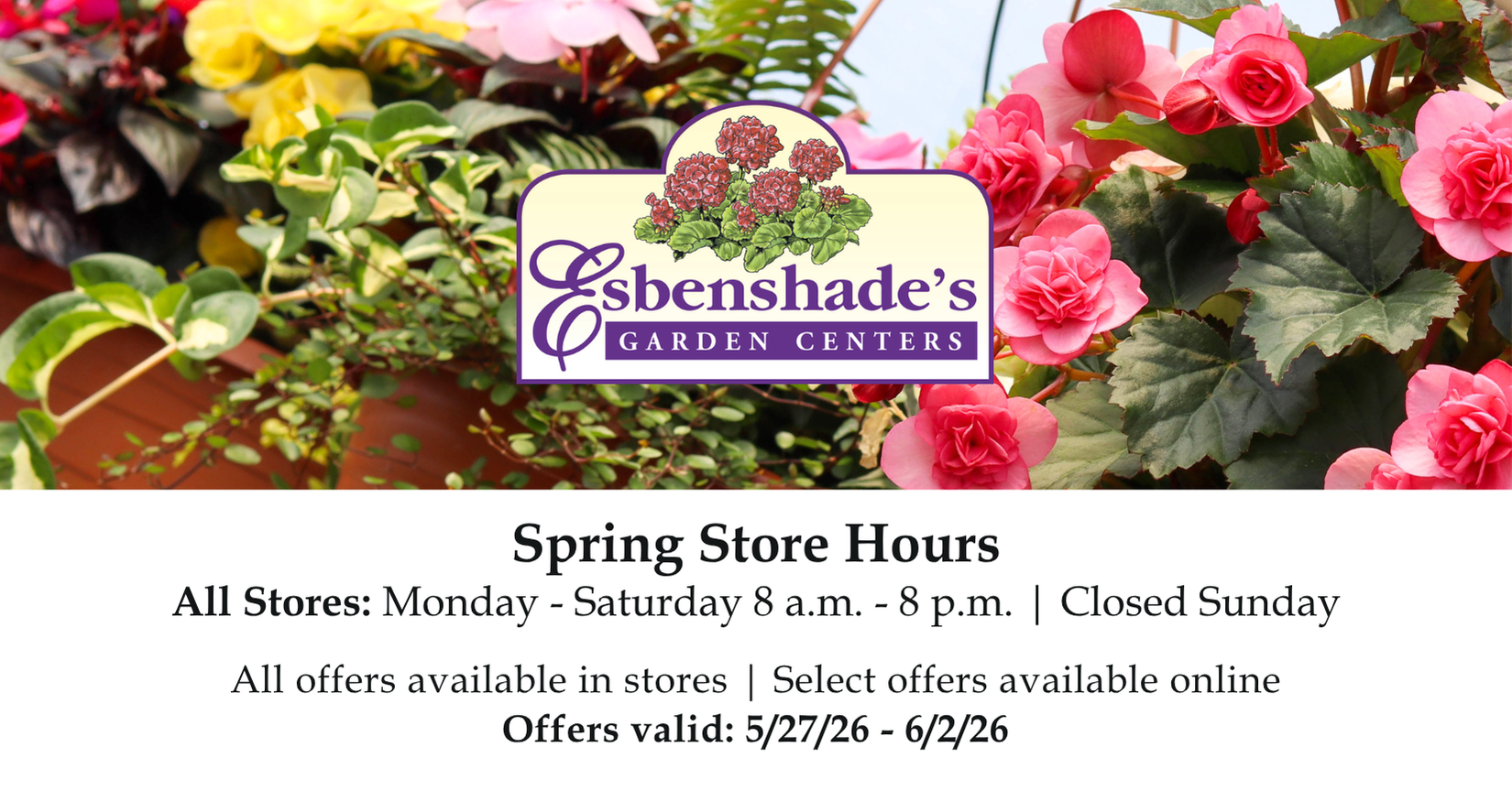 Header, Hours & Offers Valid Dates