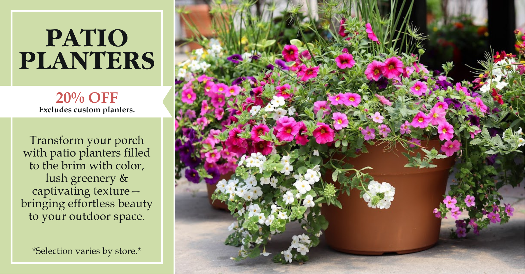 Hanging Baskets