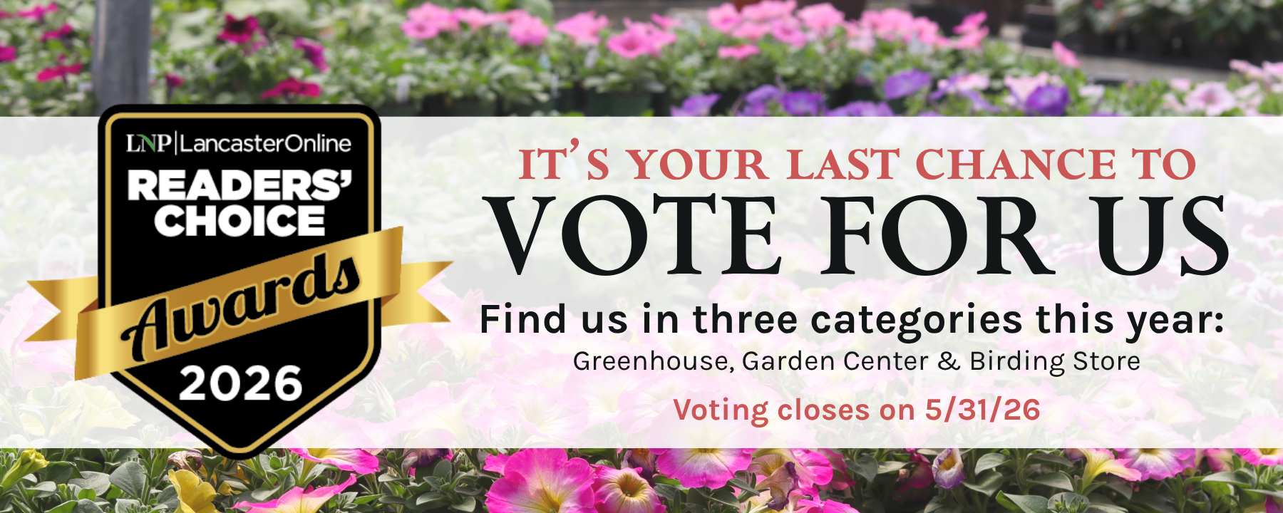 LNP Readers' Choice - Last Chance to Vote!