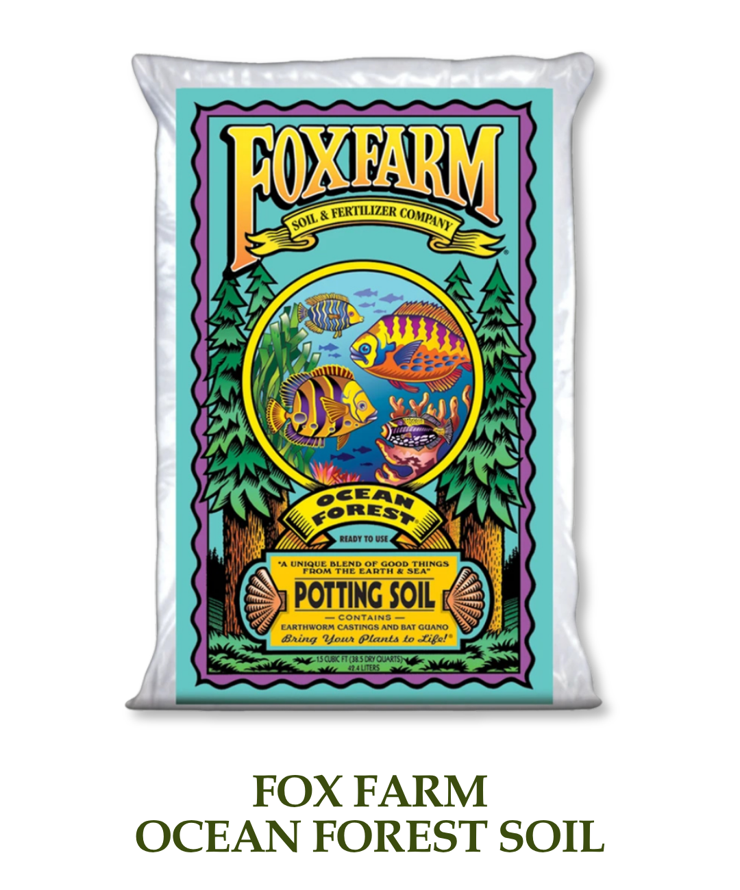 Ocean Forest Soil