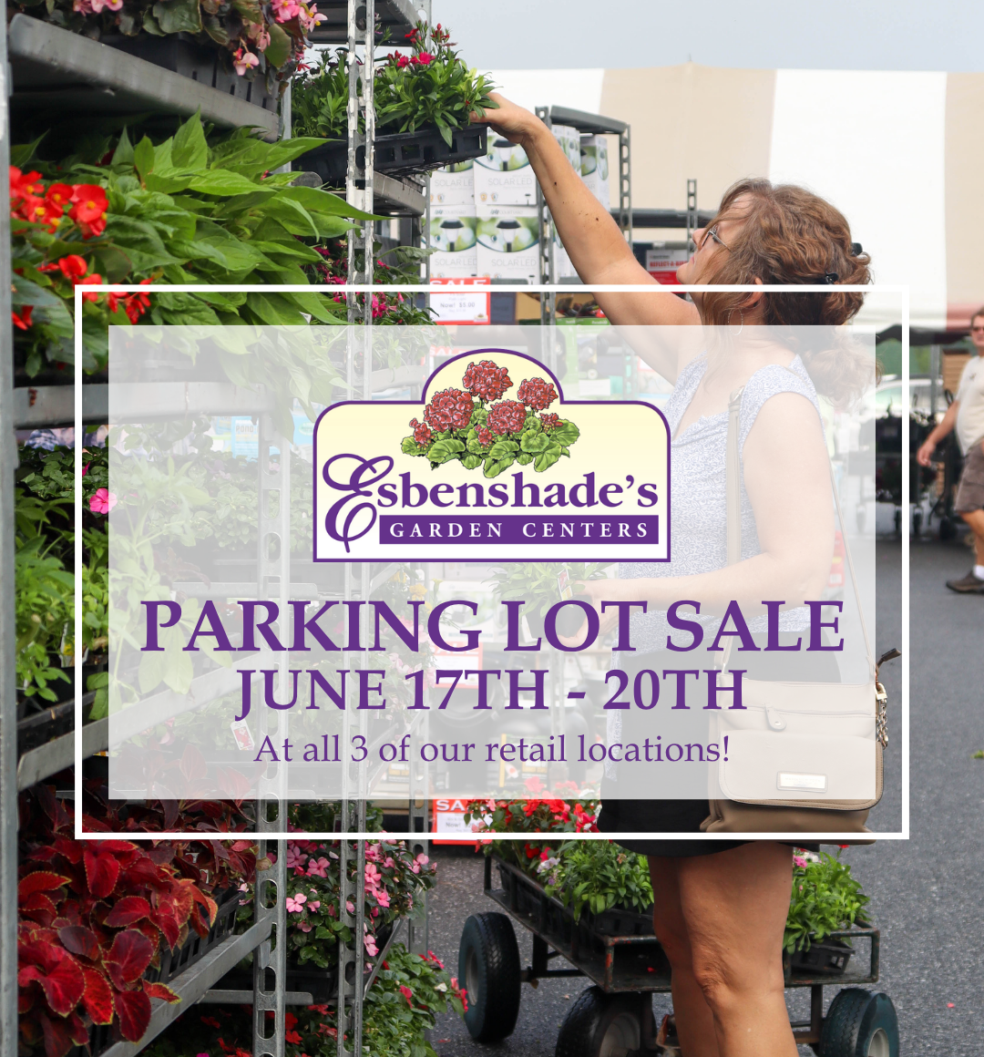 Parking Lot Sale - Save The Date