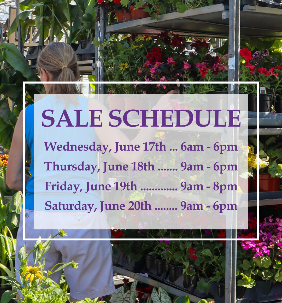 Parking Lot Sale - Schedule