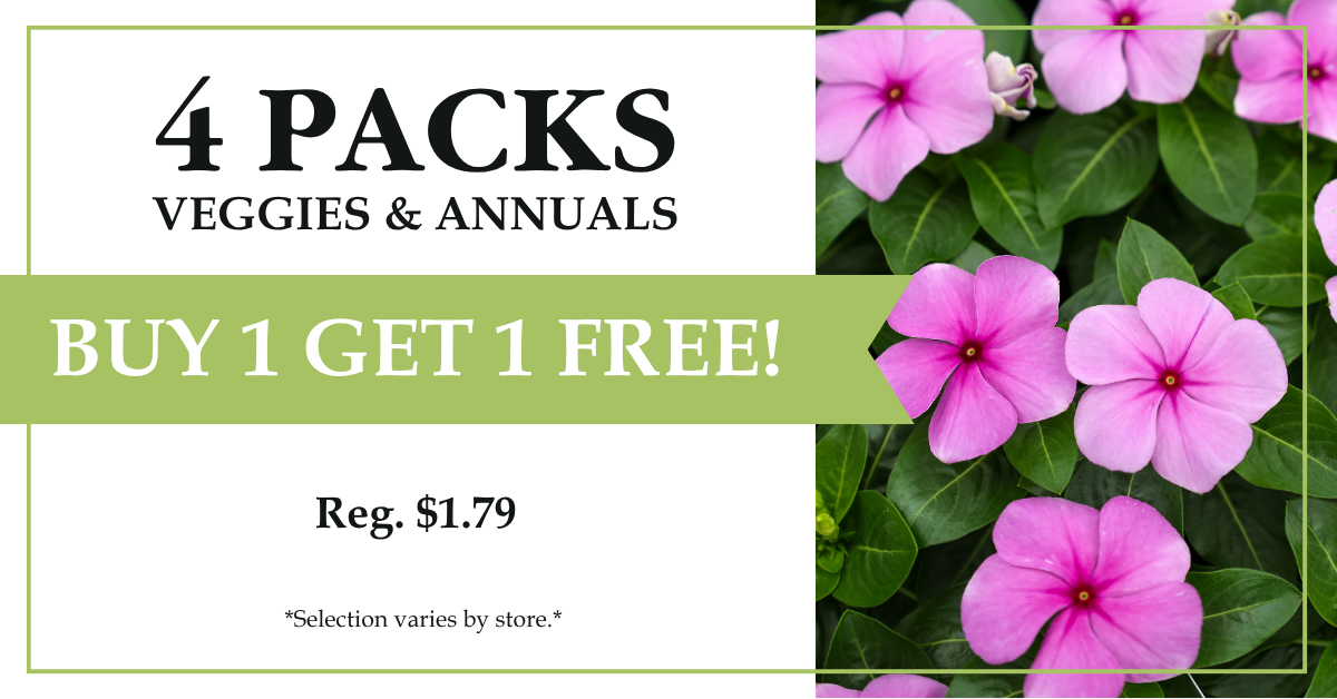 4 Packs - Veggies & Annuals