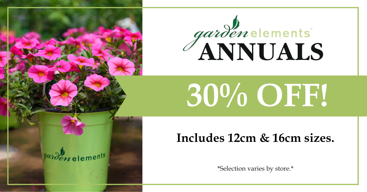 Garden Elements Annuals