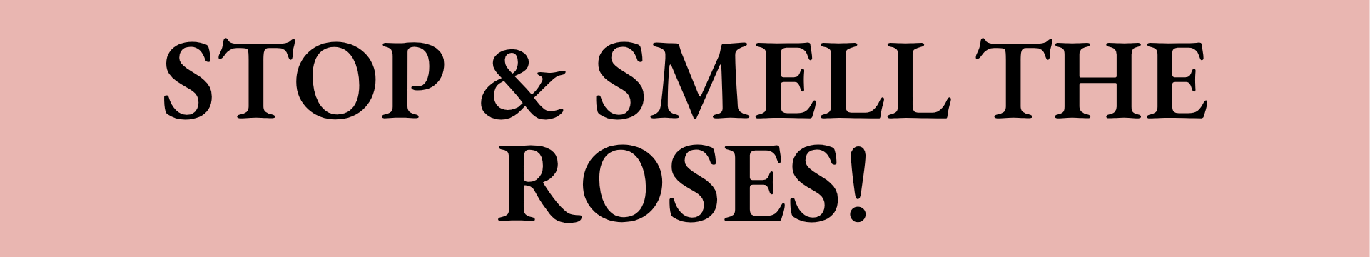 Stop & Smell The Roses