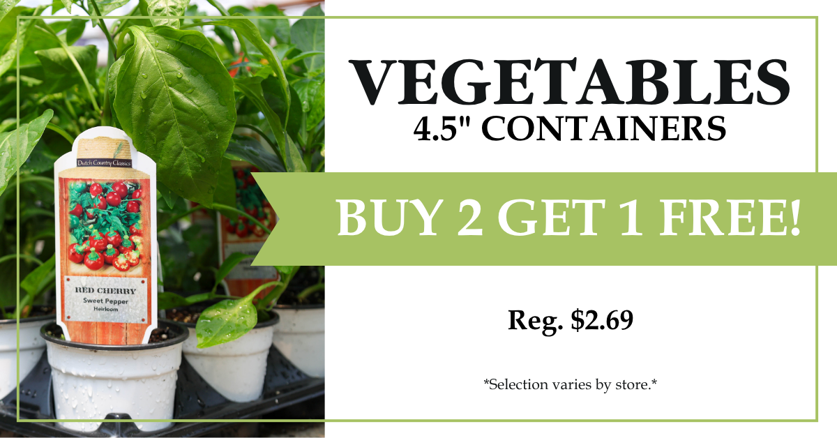 Veggies - 4.5"