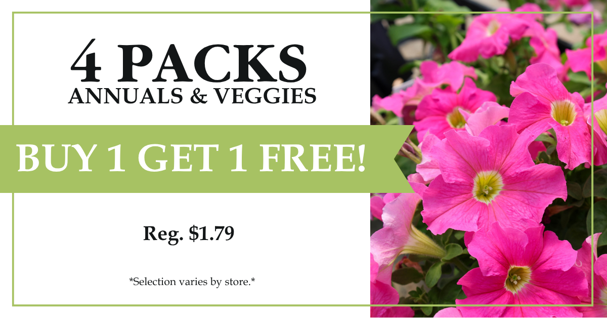 4 Packs - Annuals