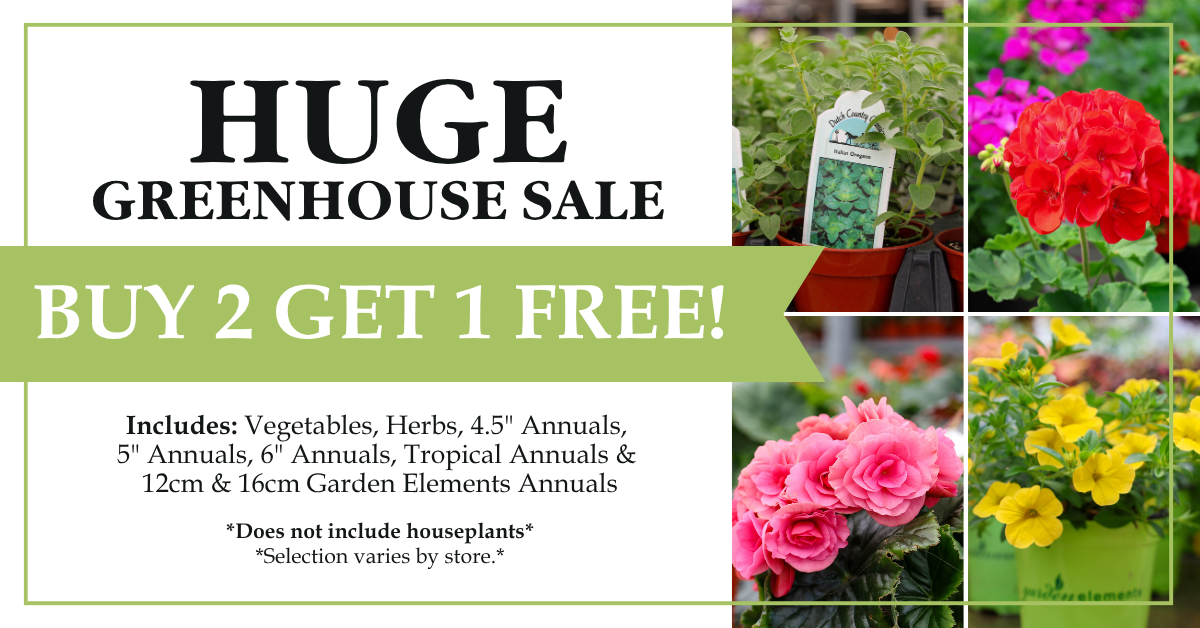 Huge Greenhouse Sale - Buy 2 get 1 FREE!