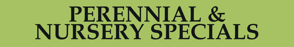Perennial & Nursery Specials