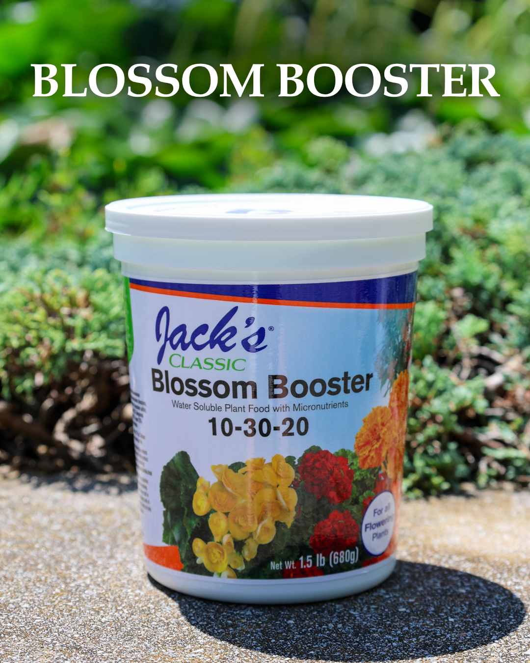Jack's Blossom Booster